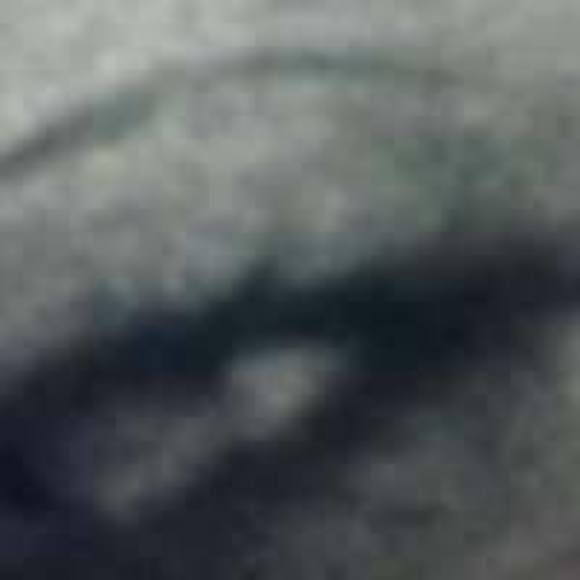 dianebecker721
